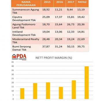 Developer Properti